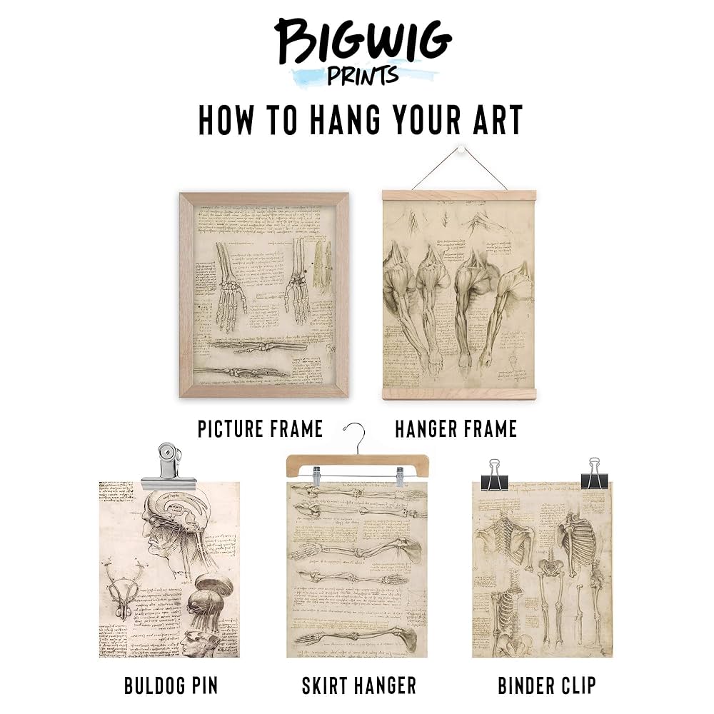 Amazon.co.jp: Bigwig Prints Da Vinci 人体解剖学ポスター